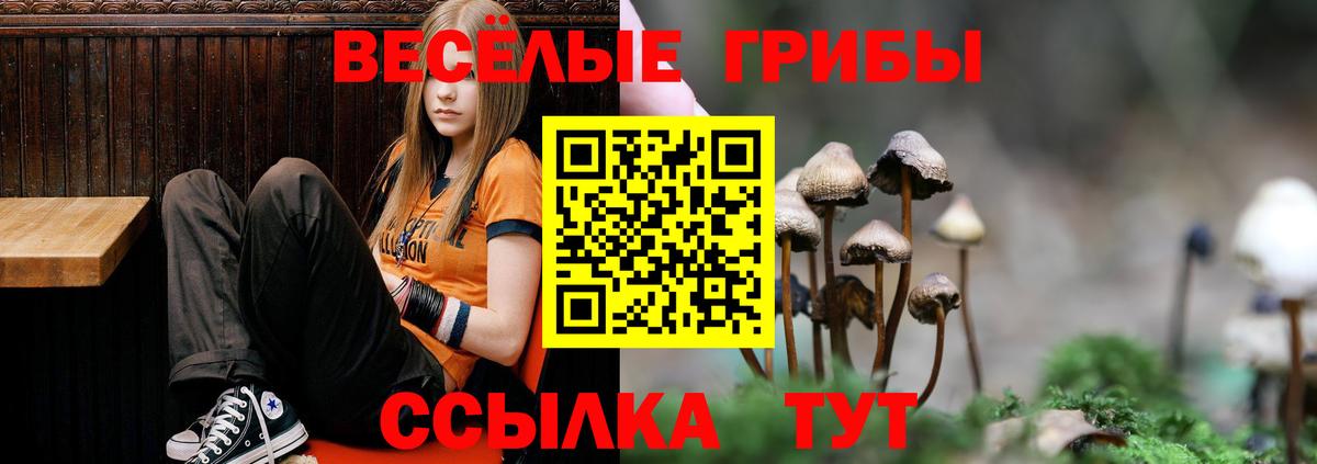 Златоуст  Галлюциногенные грибы Psilocybine cubensis  Галлюциногенные грибы ЛСД  Вход с VPN 